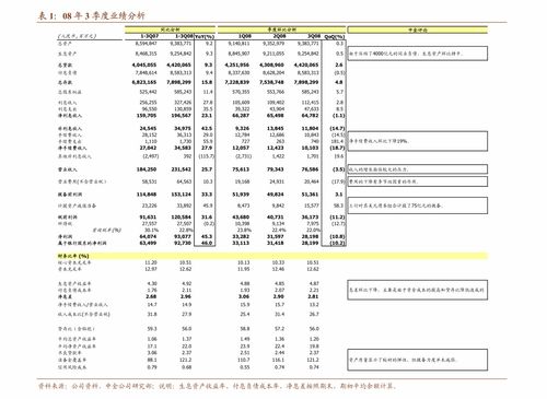 招商证券计算机行业深度报告 精读新股系列（七）——国内主要AI公司对比研究与行业分析